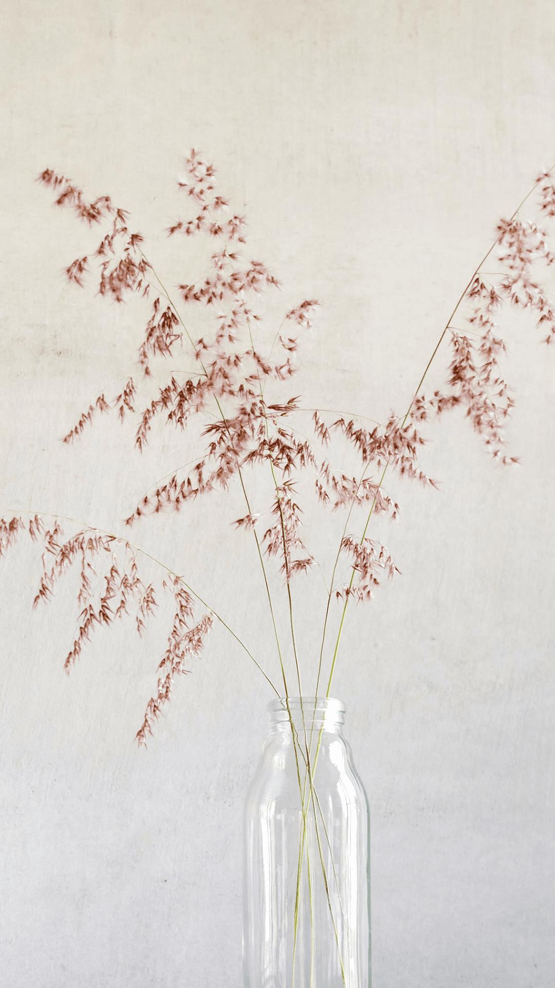 肌荒れ解消と温活におすすめ！よもぎ蒸し、ハーブピーリングなら名古屋市中村区の当店へ